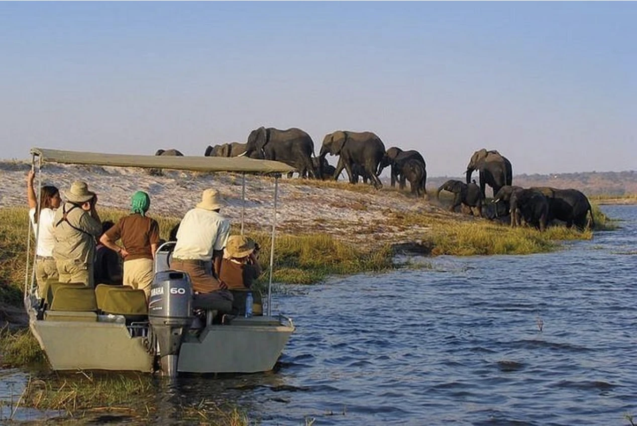 Boat Safari Nyerere Nat Park