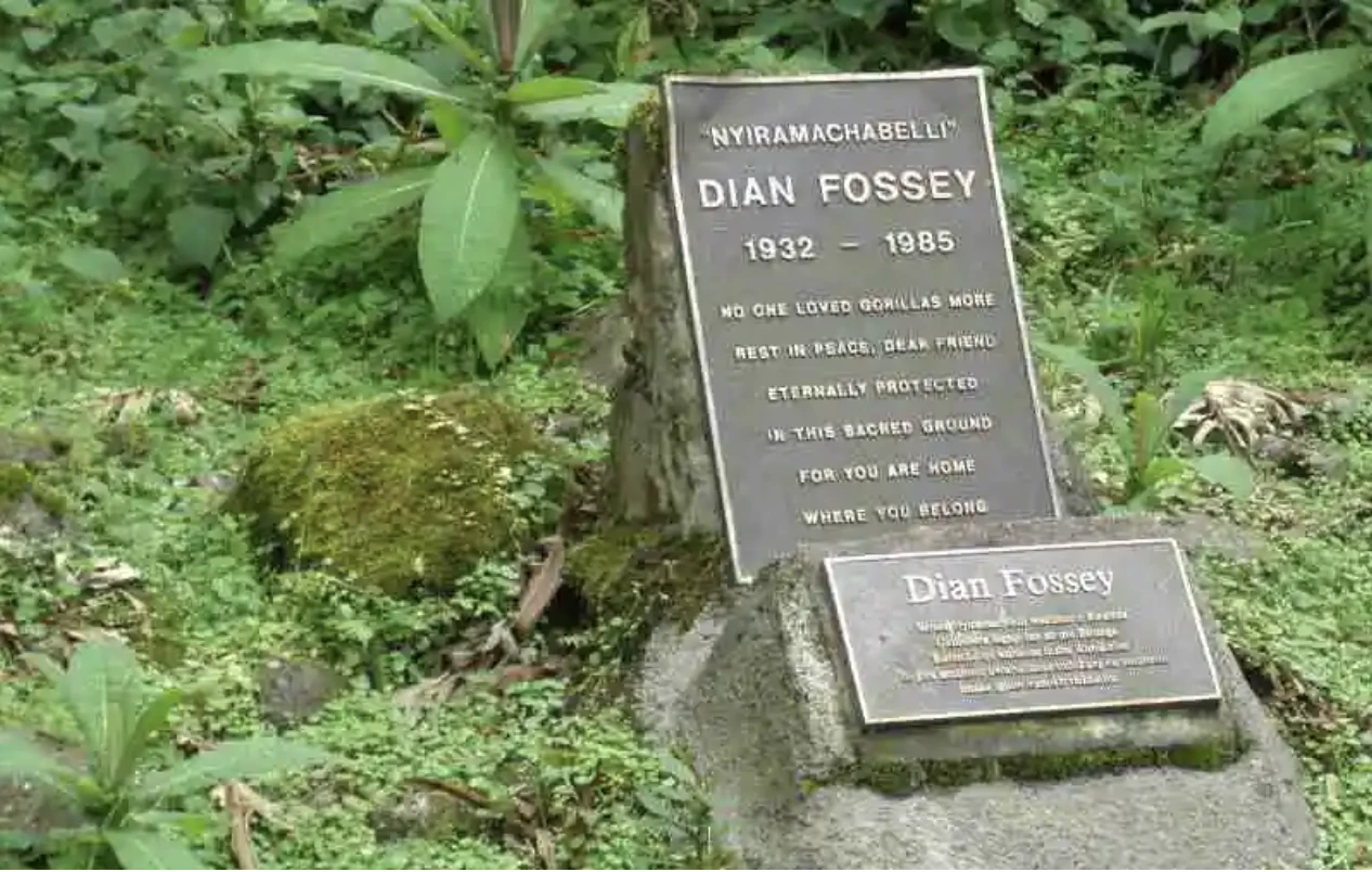 dian-fossey-tomb