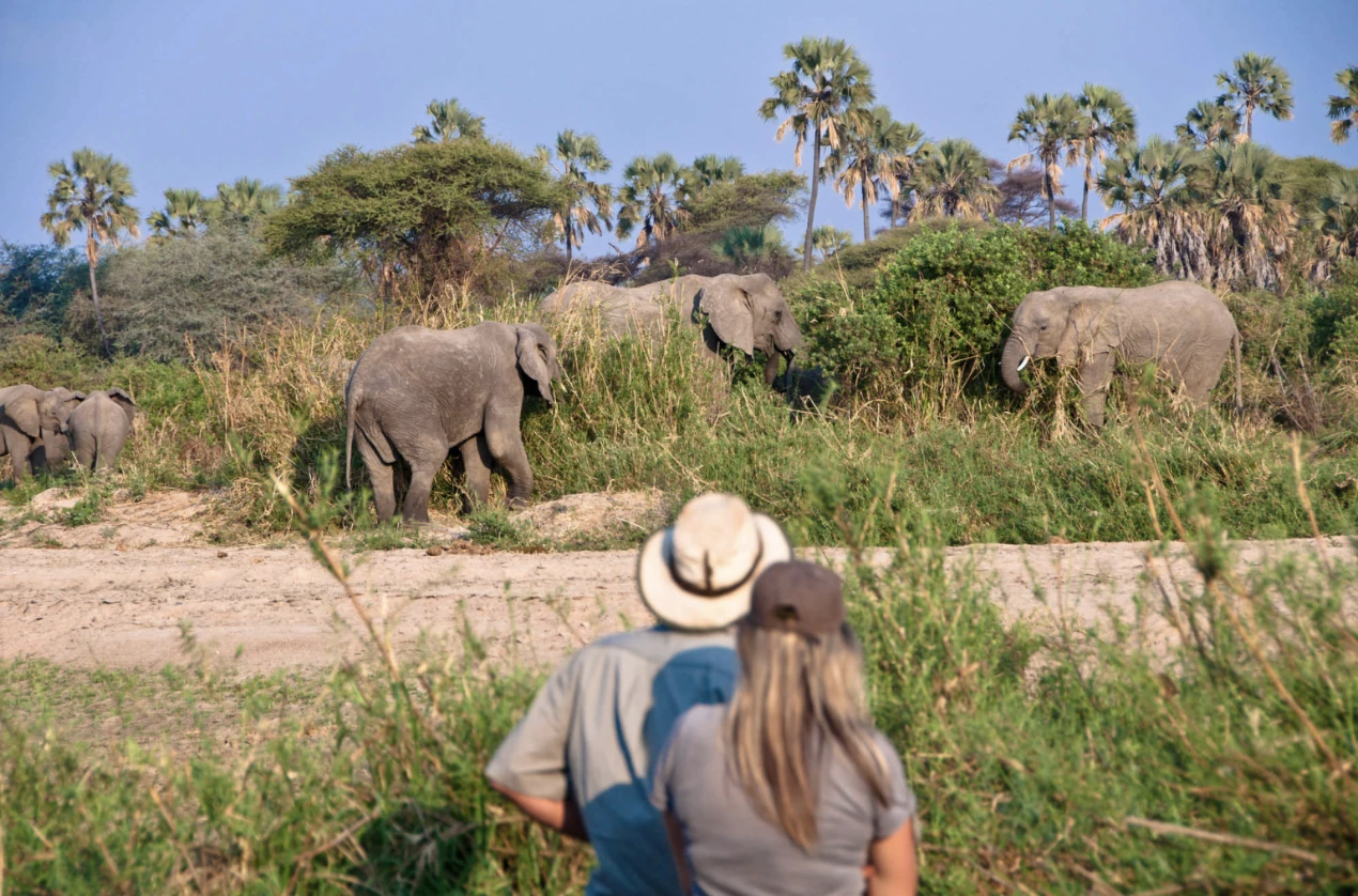 Walking Safari Katavi Nat Park