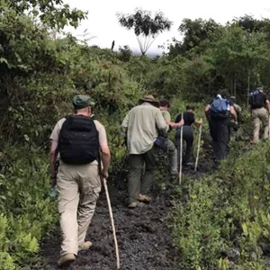 Jungle Trekking