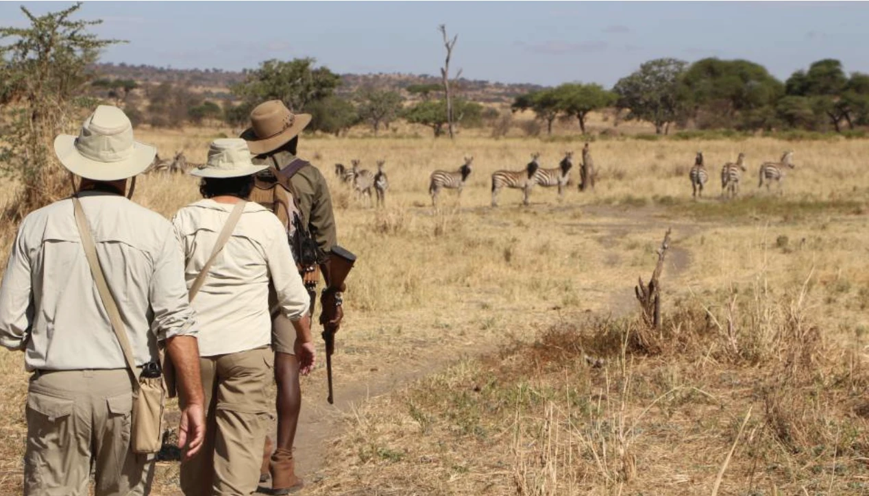Walking Safari Lake Manyara Nat Park