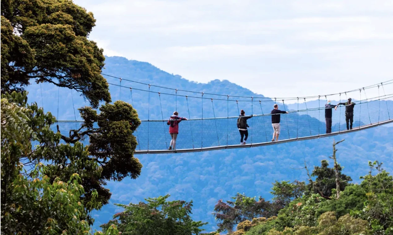 Canopy Walk