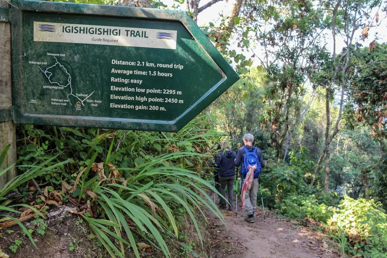 Igishigishigi Trail