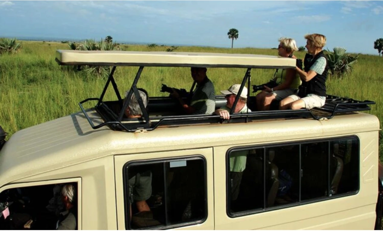 Game Drive Kidepo Valley Nat Park