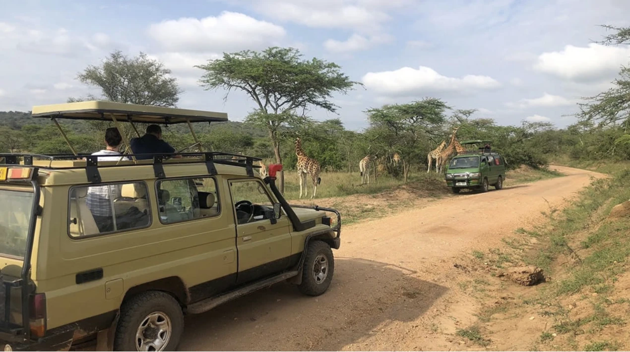 Lake Mburo Nat Park Game Drive