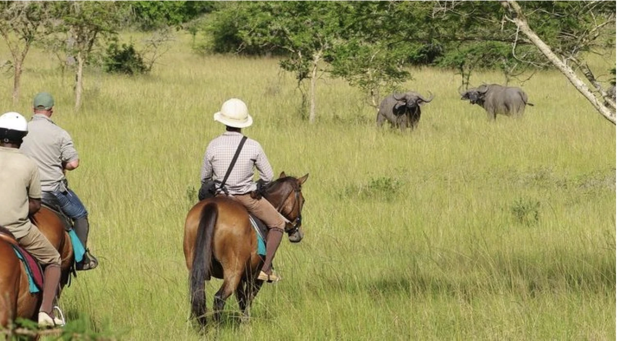 Lake Mburo Nat Park Horse Back Safari