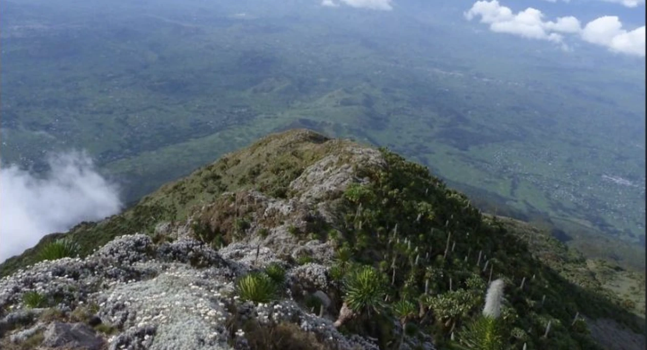 Mountain at Mgahinga Nat Park